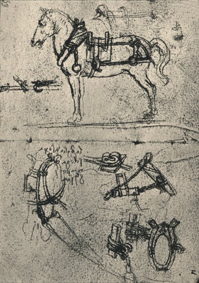 Un caballo de tiro con arnés y estudios de arnés, c1480 1945 de Leonardo da Vinci