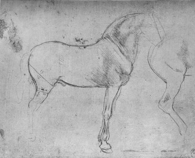 Un caballo en perfil a la derecha y sus cuartos traseros, c1480 1945 de Leonardo da Vinci