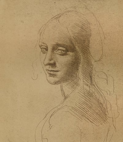 Una cabeza femenina, c1472-c1519 de Leonardo da Vinci