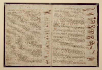 Una página del Códice Leicester, 1508-12 de Leonardo da Vinci