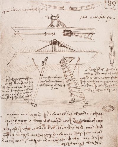Dispositivo de despegue y aterrizaje de una máquina voladora de Leonardo da Vinci
