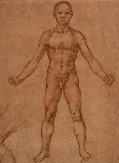 Estudio de un hombre desnudo de pie, frontal de Leonardo da Vinci