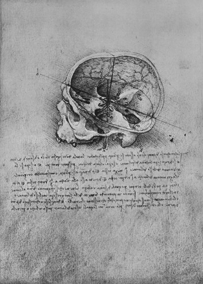 Dibujo anatómico de un cráneo a la izquierda, c1480 1945 de Leonardo da Vinci