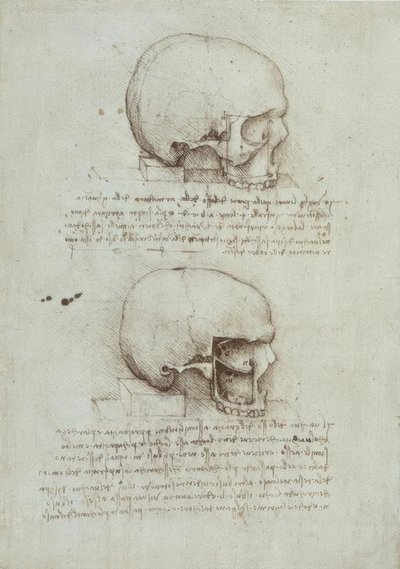 Estudios de anatomía de Leonardo da Vinci