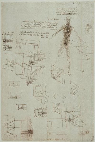 Estudios anatómicos de Leonardo da Vinci