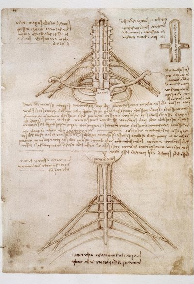 Estudios de anatomía de Leonardo da Vinci