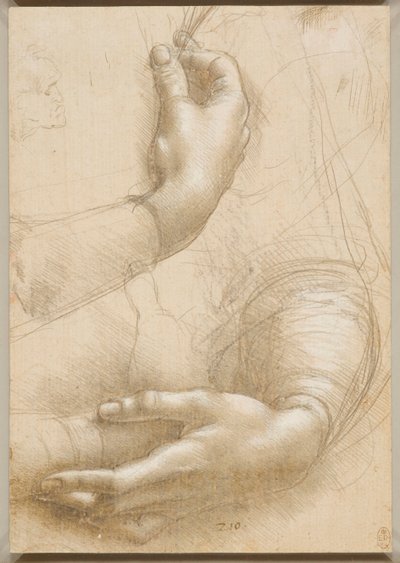 Brazos y manos femeninas, c. 1480 de Leonardo da Vinci