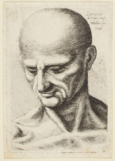El hombre calvo de Leonardo da Vinci