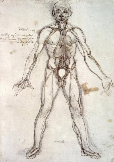 Árbol de los vasos de Leonardo da Vinci