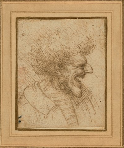 Caricatura de un hombre con el pelo alborotado de Leonardo da Vinci