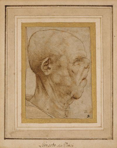 Caricatura de la cabeza de un anciano, de perfil a la derecha, c.1507 de Leonardo da Vinci