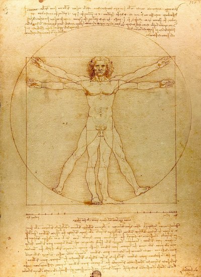 Da Vinci Vitruve Luc Viatour (recortado) de Leonardo da Vinci