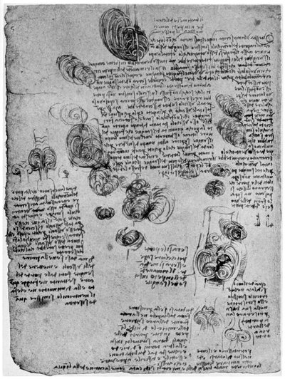 Diagrama del vórtice sanguíneo en el corazón, finales del siglo XV o principios del siglo XVI, 1954 de Leonardo da Vinci