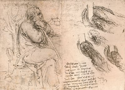 Dibujo que ilustra la representación del cabello cayendo en rizos, c1472-c1519 1883 de Leonardo da Vinci