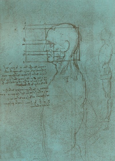 Dibujo que ilustra la teoría de las proporciones de la figura humana de Leonardo da Vinci