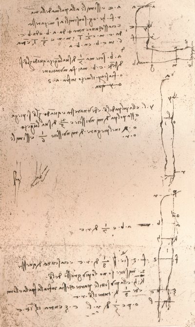 Dibujo que ilustra la teoría de las proporciones de la figura humana, c1472-c1519 1883 de Leonardo da Vinci