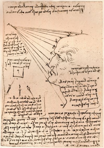 Dibujo de una cabeza masculina, ilustrando la práctica de la pintura de Leonardo da Vinci