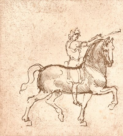 Dibujo de un caballo caminando, c1472-c1519 1883 de Leonardo da Vinci
