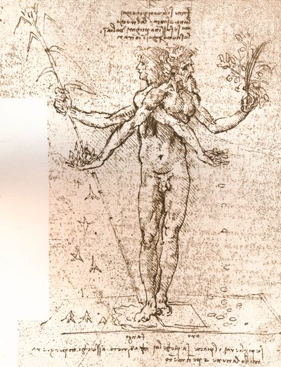 Dibujo de una composición alegórica, c. 1472-c. 1519 1883 de Leonardo da Vinci
