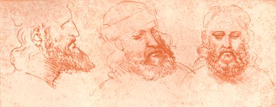 Dibujo de cabezas orientales, en tiza roja, c. 1472-c. 1519 de Leonardo da Vinci