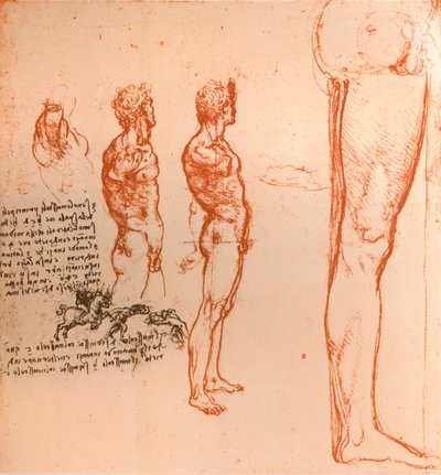 Dibujos que muestran los movimientos de la figura humana y guerreros luchando, c1472-c1519 de Leonardo da Vinci