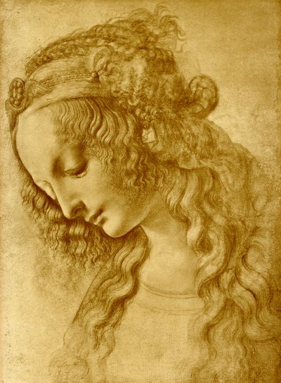 Cabeza femenina de Leonardo da Vinci