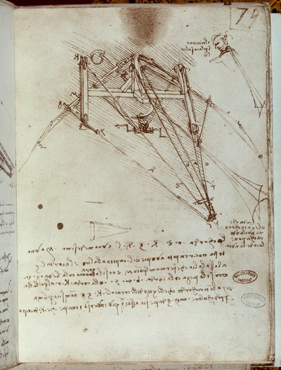 Dibujo de máquina voladora. Manuscrito de Leonardo da Vinci de Leonardo da Vinci