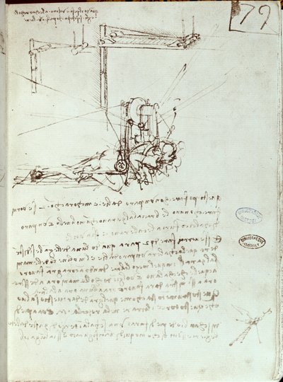 Dibujo de máquina voladora de Leonardo da Vinci