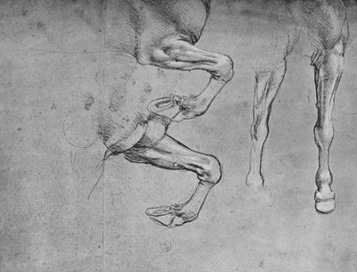 Cuatro estudios de patas de caballos, c1480 de Leonardo da Vinci