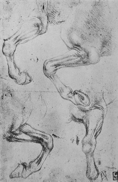 Cuatro estudios de patas de caballos, c1480 de Leonardo da Vinci