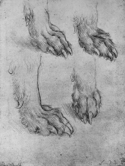 Cuatro estudios de las patas de un perro o lobo, c1480 de Leonardo da Vinci