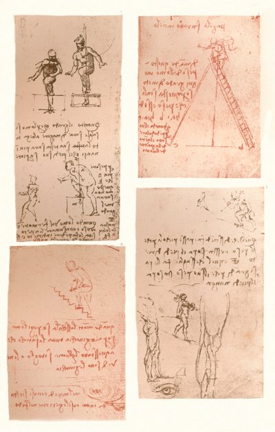 Cuatro dibujos que ilustran la teoría de los movimientos de la figura humana, c1472-c1519 1883 de Leonardo da Vinci