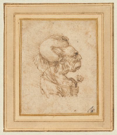 Cabeza grotesca de una anciana de Leonardo da Vinci
