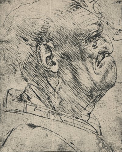 Perfil grotesco de un hombre a la derecha, c1480 1945 de Leonardo da Vinci