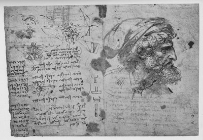 Cabeza y hombros de un hombre con barba de Leonardo da Vinci