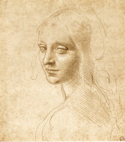 Cabeza y hombros de una niña, c. 1490 de Leonardo da Vinci