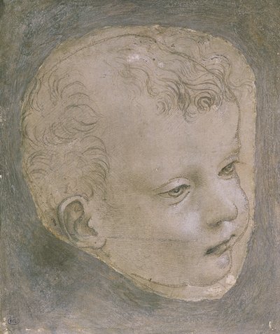 Cabeza de un niño de Leonardo da Vinci