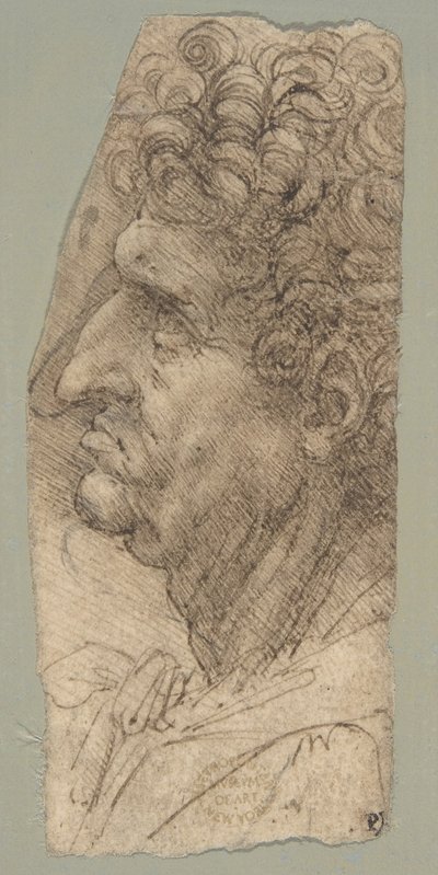 Cabeza de un hombre de perfil, mirando hacia la izquierda de Leonardo da Vinci