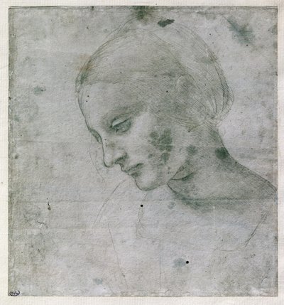 Cabeza de una joven o Cabeza de la Virgen de Leonardo da Vinci