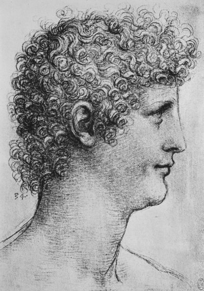Cabeza de un joven en perfil a la derecha, c1480 1945 de Leonardo da Vinci