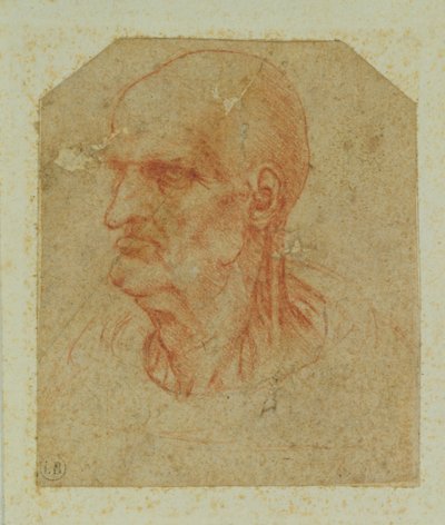Cabeza de un anciano sin barba, perfil izquierdo de Leonardo da Vinci