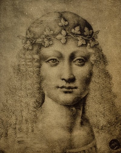 Cabeza de una niña o de un joven Baco; dibujo de Leonardo da Vinci. Gallerie dell