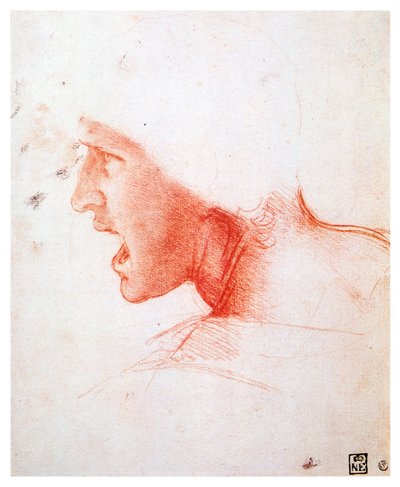 Cabeza de un hombre gritando en perfil hacia la izquierda, 1503-1504 de Leonardo da Vinci