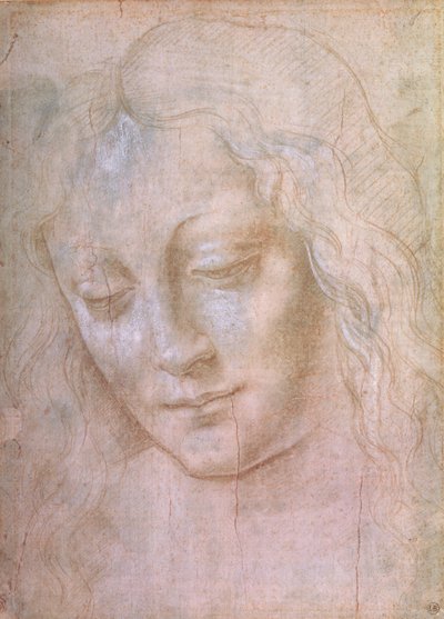 Cabeza de una mujer de Leonardo da Vinci