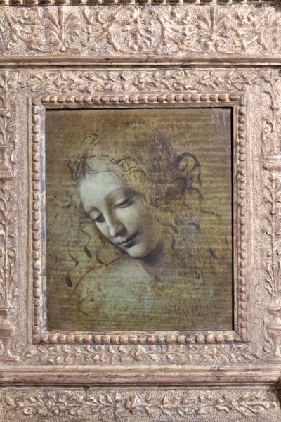 Cabeza de mujer, llamada "la scapigliata", c.1492-1501 (óleo sobre tabla) de Leonardo da Vinci