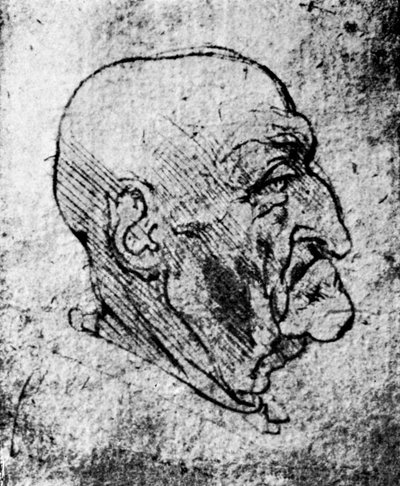 Cabeza de un anciano, 1913 de Leonardo da Vinci
