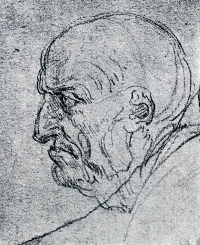 Cabeza de un anciano de Leonardo da Vinci