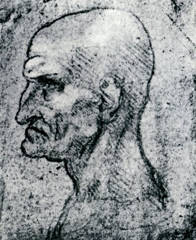 Cabeza de un anciano, 1913 de Leonardo da Vinci