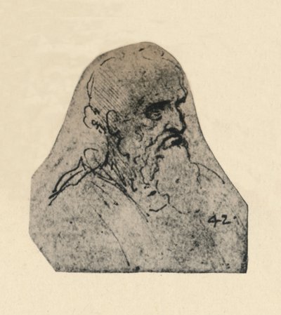 Cabeza de un anciano girado a la derecha de Leonardo da Vinci