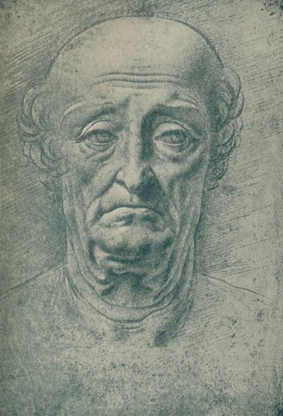 Cabeza de un anciano, siglo XV, 1932 de Leonardo da Vinci